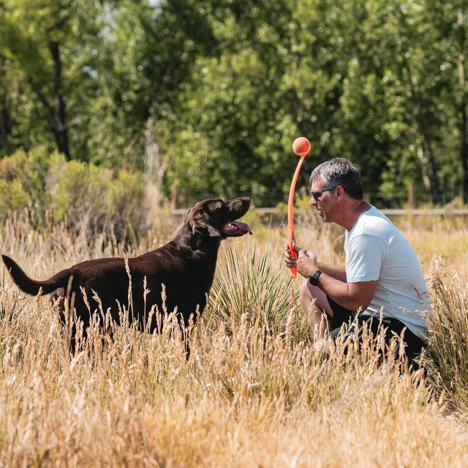 Chuckit! Sport 26L Dog Ball Launcher, 26" Length, Includes Large Ball (3") for Dogs 60-100 Pounds - 1 Count (Pack Of 1), 64Cm image number 6