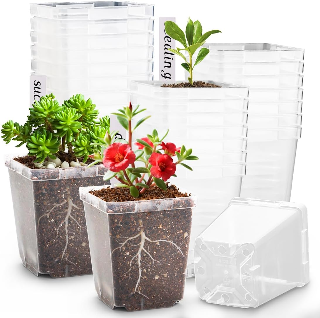 Rootrimmer 3.3 Inch Clear Nursery Pots with Drainage,90 Pack Square Seedling Pots with Plant Lables,Reusable Seed Starter Pots for Succulents Transplanting Herbs Flowers Tomato Windowsill Gardening image number 2