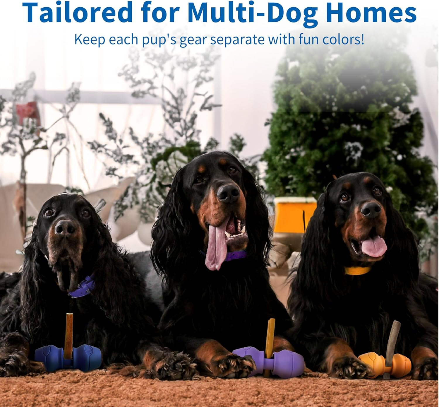 Chewise Bully Stick Holder for Dogs, Improved Dog Treats Holder, Ultimate Secure Heavy Duty, Bpa-Free Safety Device to Prevent Choking, Fits Various Bully Sticks and Dog Sizes - Purple image number 4