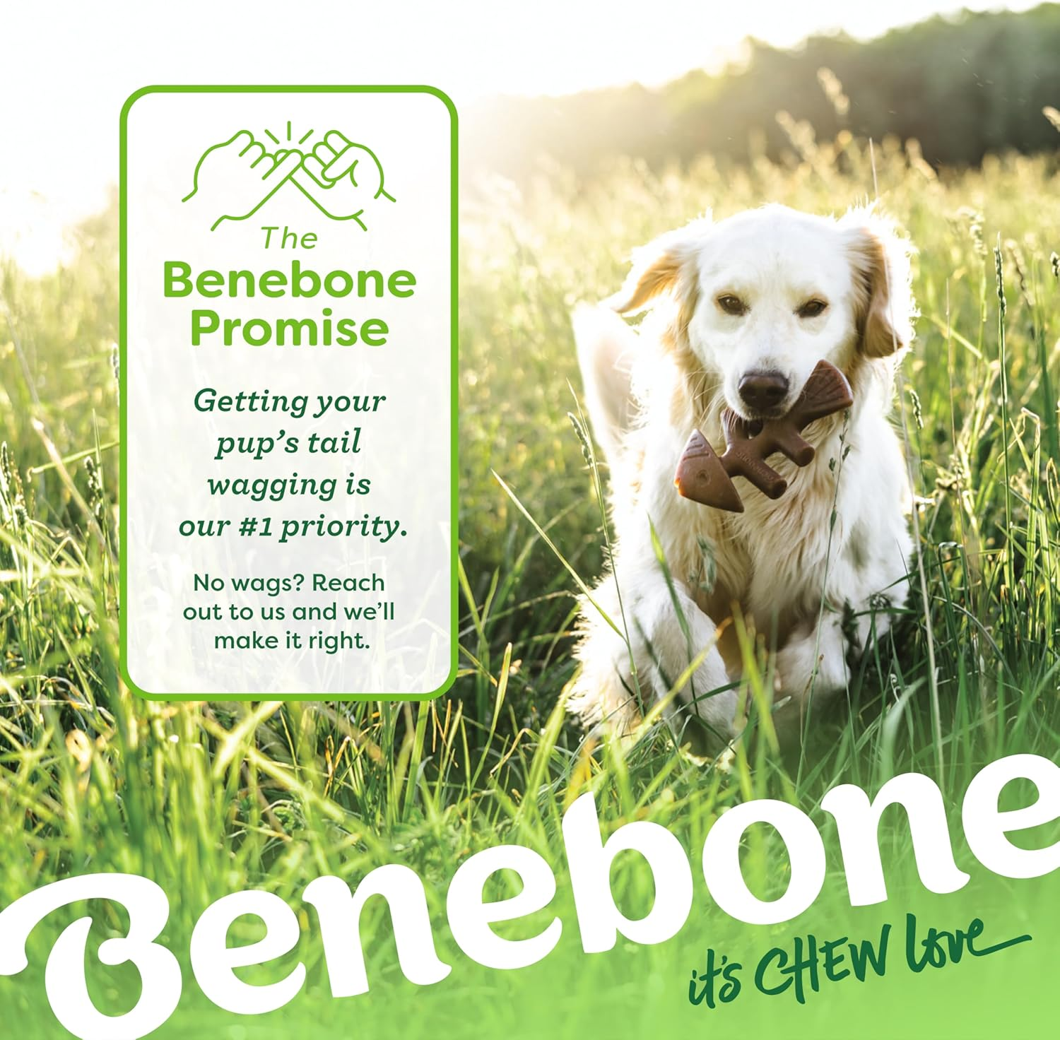 Benebone 2-Pack Indestructible Fishbone/Wishbone Dog Chew Toys, Long Lasting Tough Boredom Breaker for Dogs, Real Salmon and Real Bacon Flavour, for Large Dogs, Made in USA