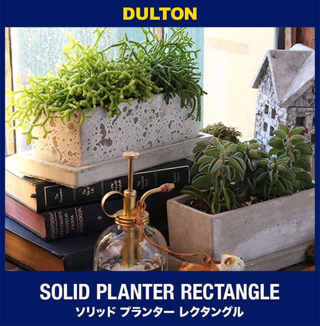 Dulton A555-426SPL Solid Planner Rectangular Plain, Small, Solid Planter, Gardening Supplies, image number 4