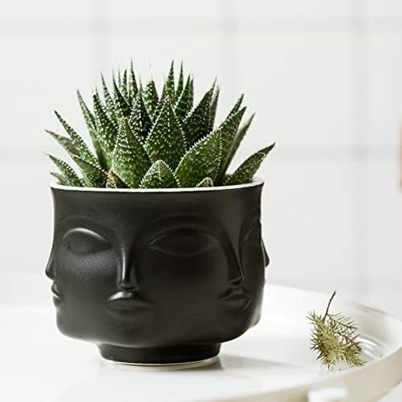 Ceramic Gold Face Planter Head Face Vase Home Decoration Succulent Cactus Indoor Plant Pot Versatility Designs image number 6