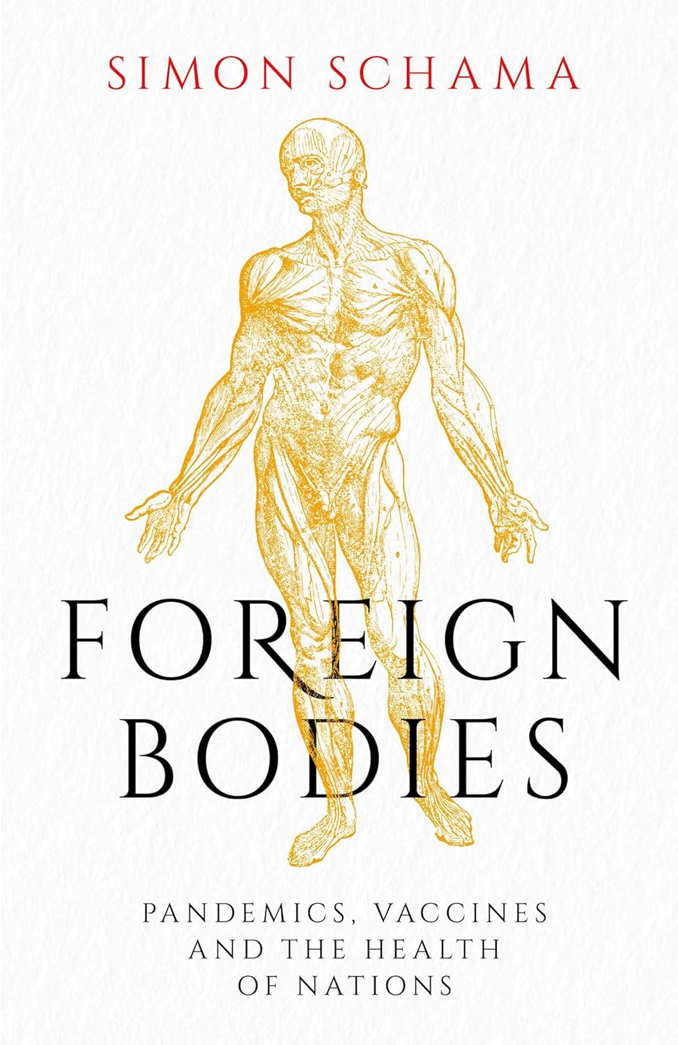 Foreign Bodies: Pandemics, Vaccines and the Health of Nations image number 1
