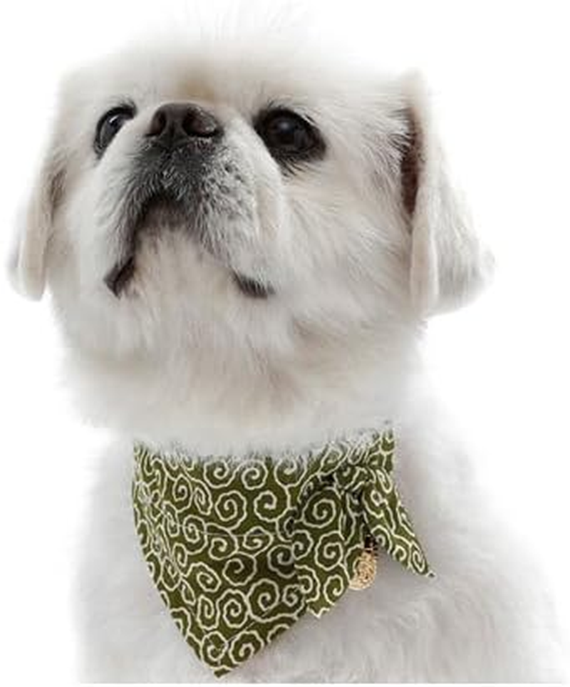 Dog Amok Green Large Size