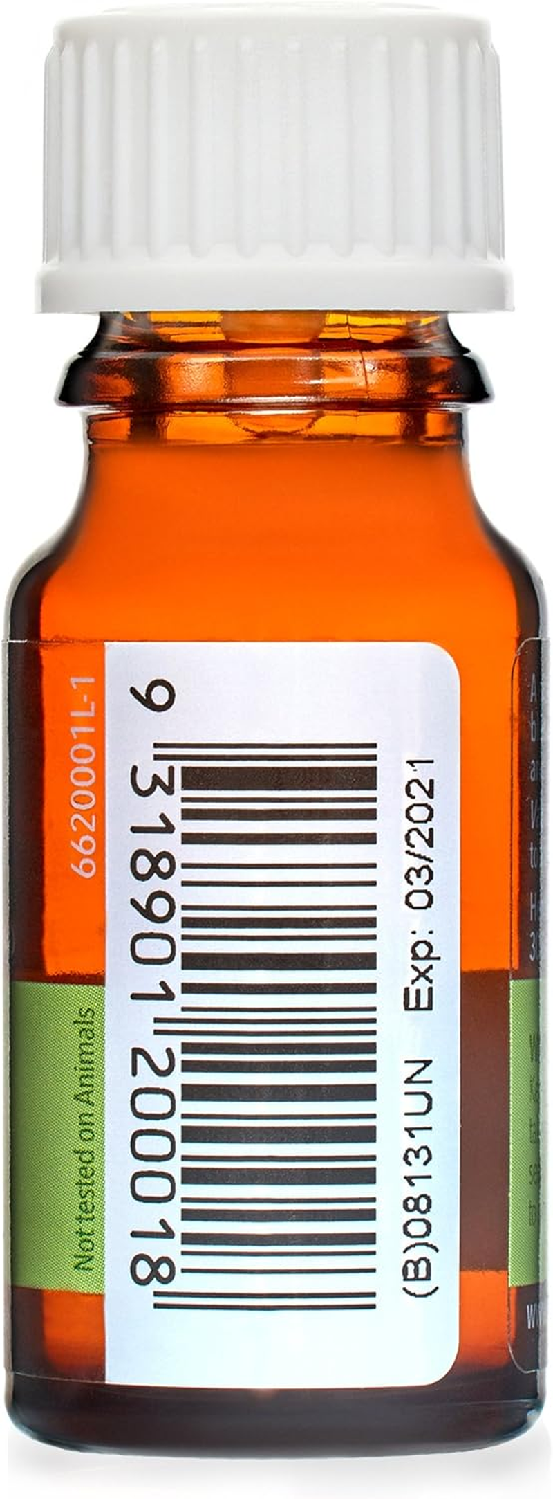 Oil Garden Refresh & Renew 100% Pure Essential Oil Therapeutic Aromatherapy Blend Drops 12Ml image number 2