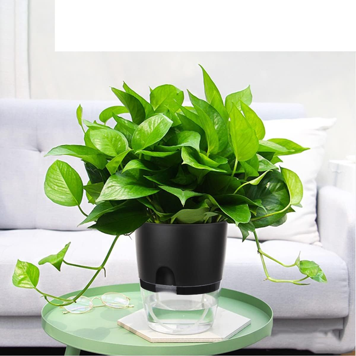 Vanavazon 6 Inch Self Watering Planter Pots for Indoor Plants, 3 Pack African Violet Pots with Wick Rope-Black - Grey image number 4