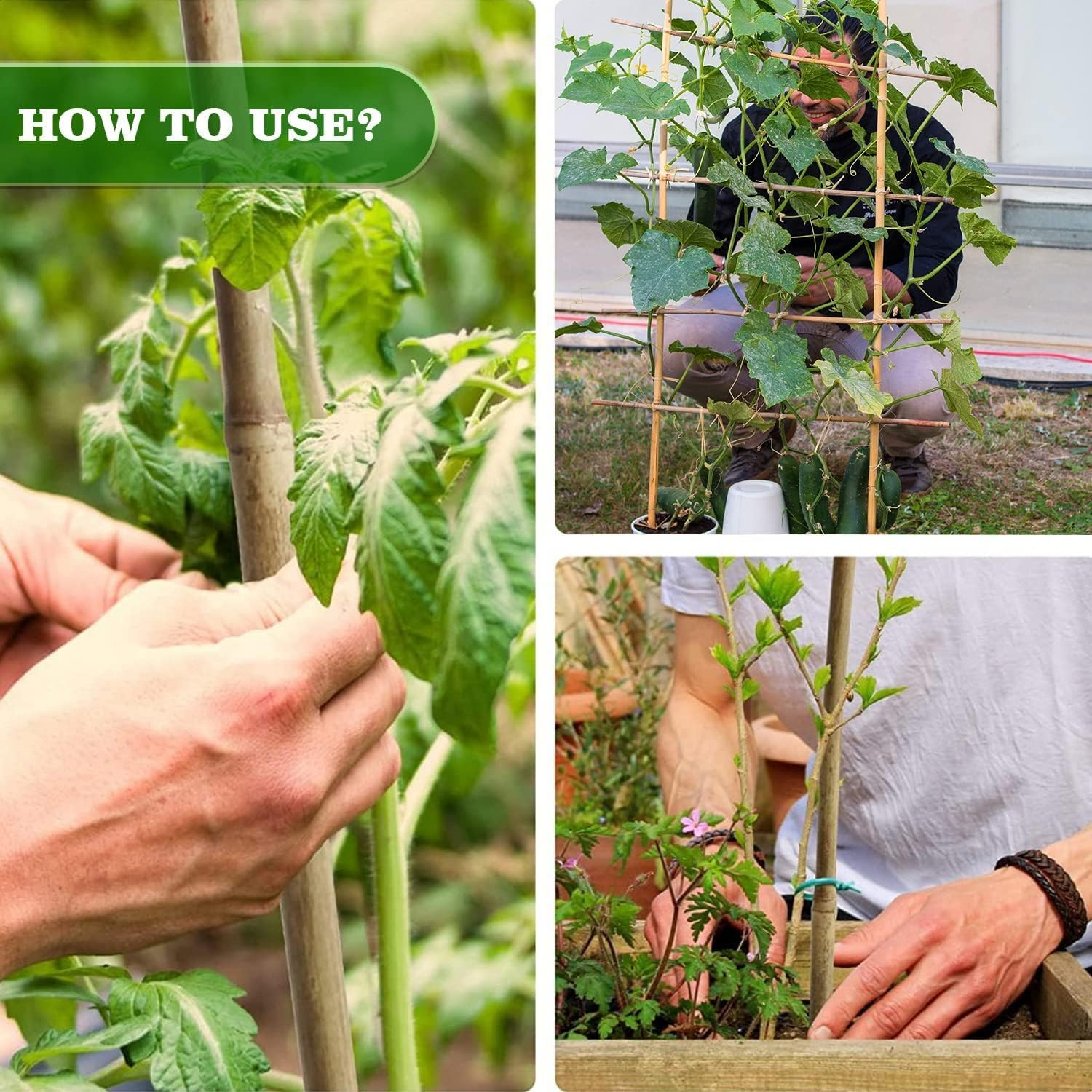 Jollybower 30Pcs Bamboo Stakes 60Cm,Plant Stake, Natural Garden Stakes for Tomato, Bean, Flowers,Trees Potted and Climbing Plant Support image number 3