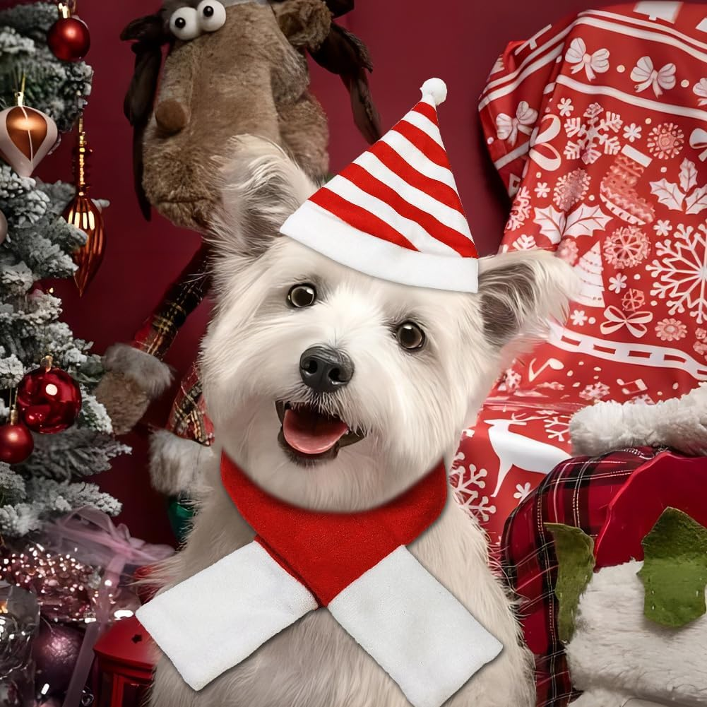 PLUSHCEWT Pack of 4 Pet Christmas Costume Mini Christmas Hat and Scarf Dog Cat Christmas Accessories Christmas Costume for Cats and Small Dogs Christmas Party Cosplay Accessories image number 2