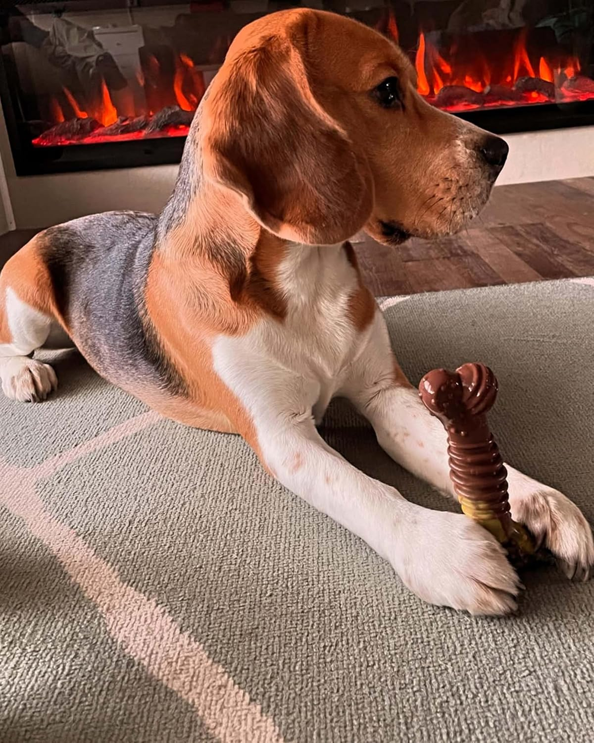 Nylabone Flavor Frenzy Power Chew Dog Toy Philly Cheesesteak Medium/Wolf,1 Count (Pack of 1) image number 5