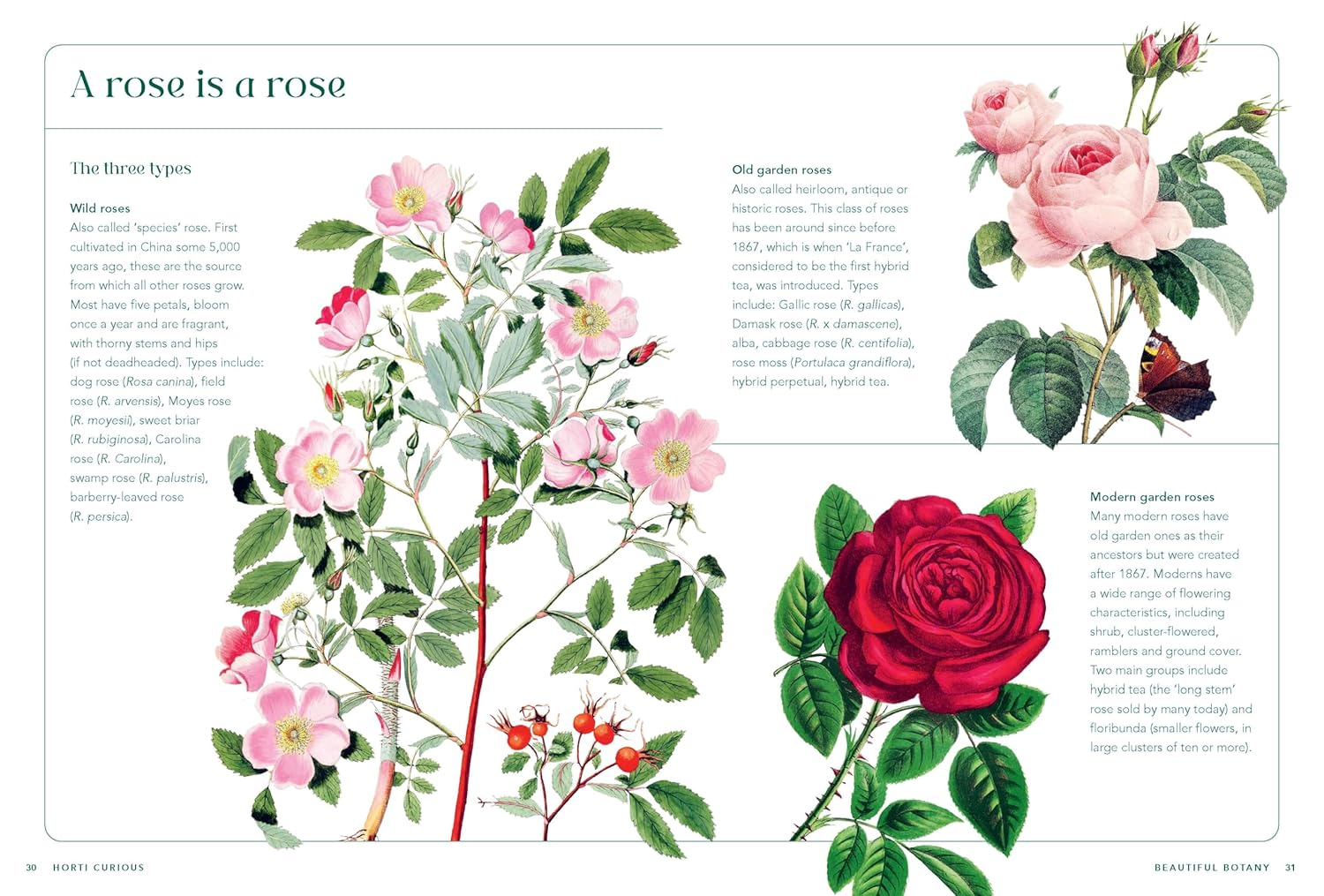 Horti-Curious: a Gardener&rsquo;S Miscellany of Fascinating Facts and Remarkable Plants image number 2