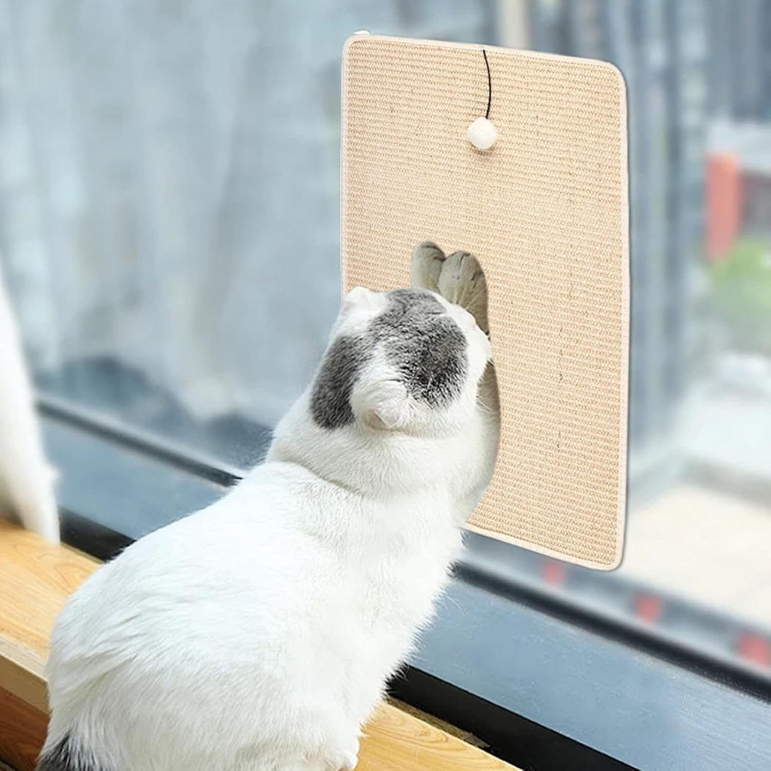 Cat Scratching Mat | Cat Scratcher Pad with Plush Ball,Sisal Fabric Scratcher for Cats, Cat Wall Furniture Protector for Living Room image number 6