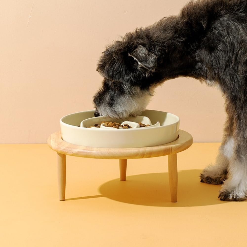 Sarini Slow Feeder Dog Bowl for Small to Medium Dogs, Green image number 4