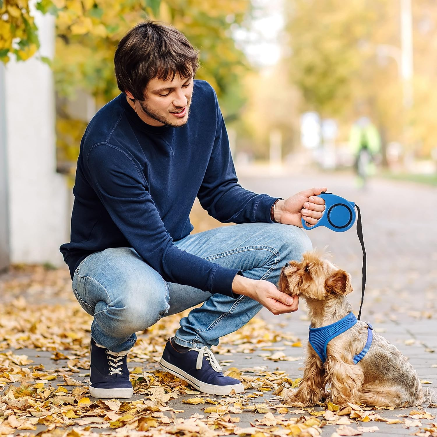 Retoo Retractable Dog Lead 3 M for Small and Large Dogs, Flexible Band for Right Walks, Dog Leash, Comfortable Handle, Belt Lead, Robust Extendable Lead for Walking, Roll Lead, High-Quality Lead