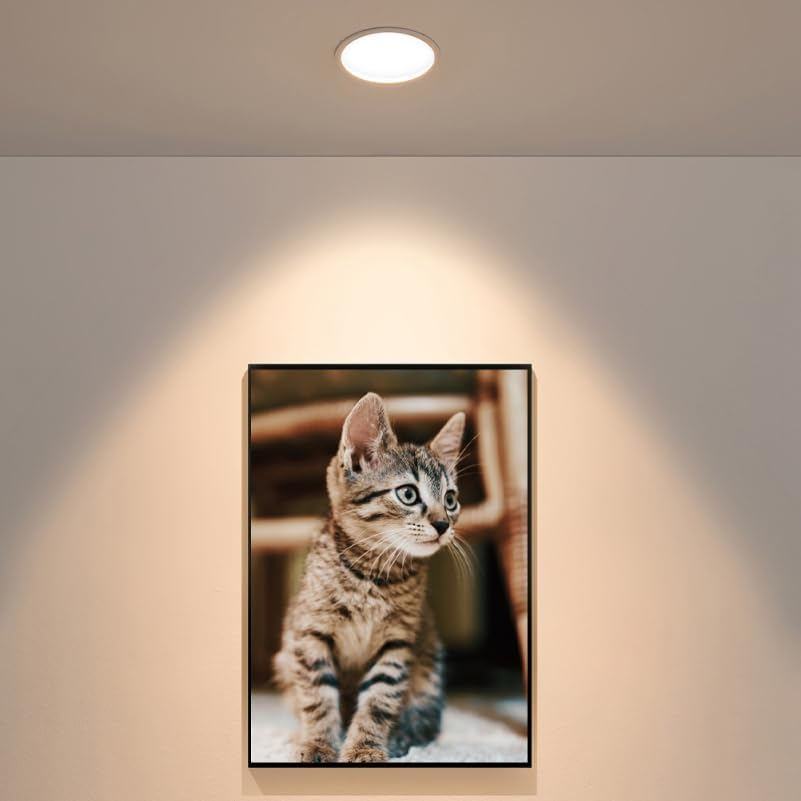 BESTOYARD 20Pcs PC Cover LED Downlight Diffuser Plates round Soft Lighting for Home Bedroom Office Enhanced Lighting DIY Lamp Shade Accessories Easy to Install image number 4