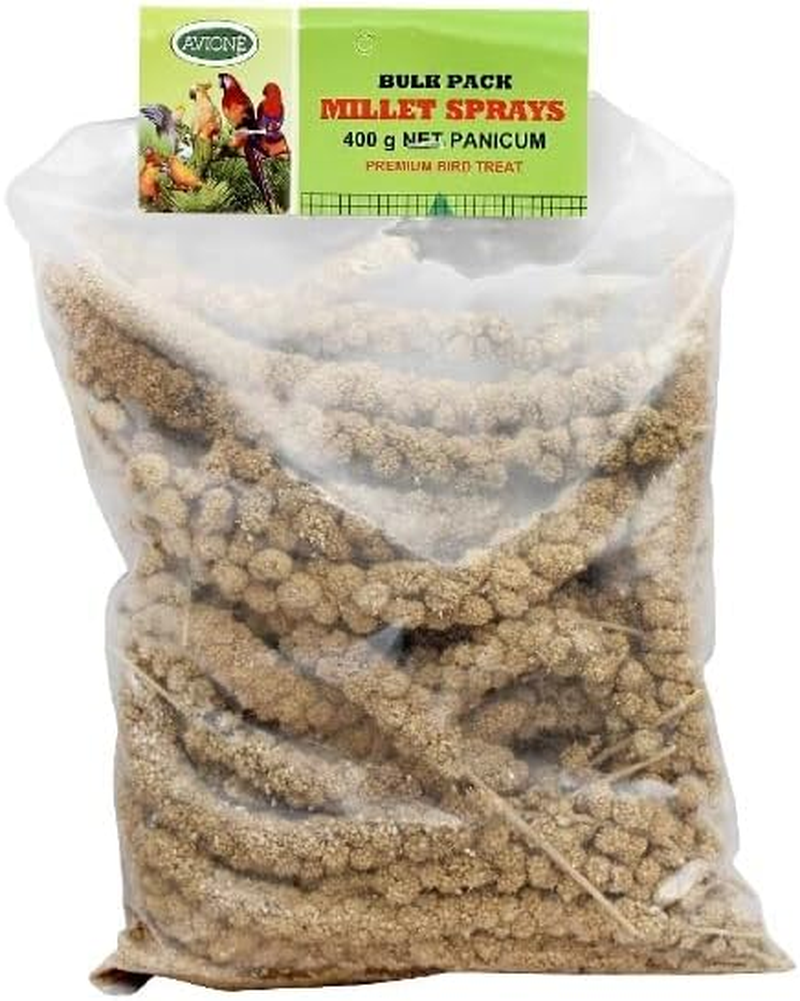 Avione Millet Sprays Panicum - 400G