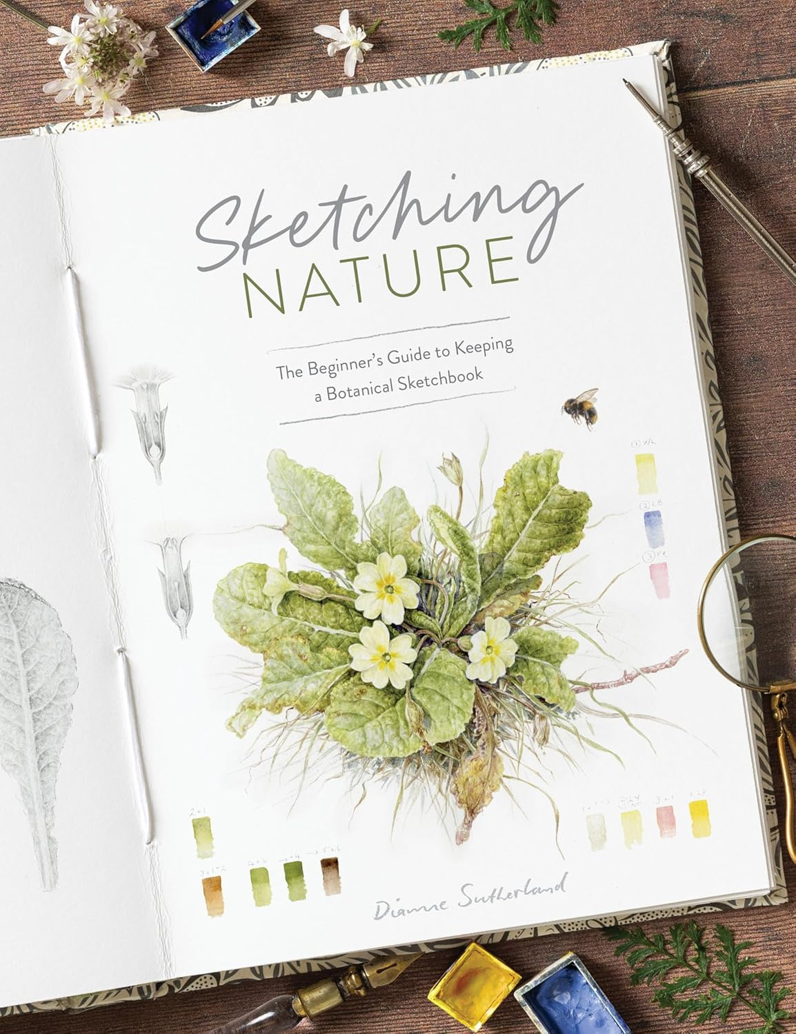 Sketching Nature: the Beginner'S Guide to Keeping a Botanical Sketchbook image number 1