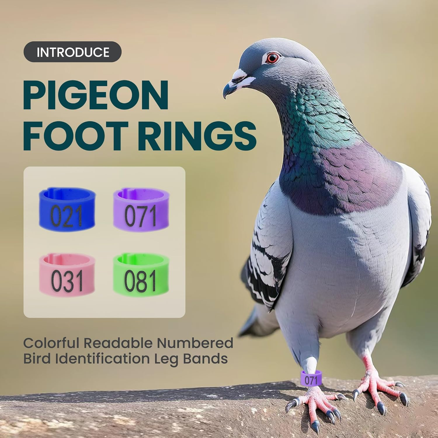Pigeon Foot Rings，Colorful Readable Numbered Bird Identification Leg Bands 100 Pcs image number 2