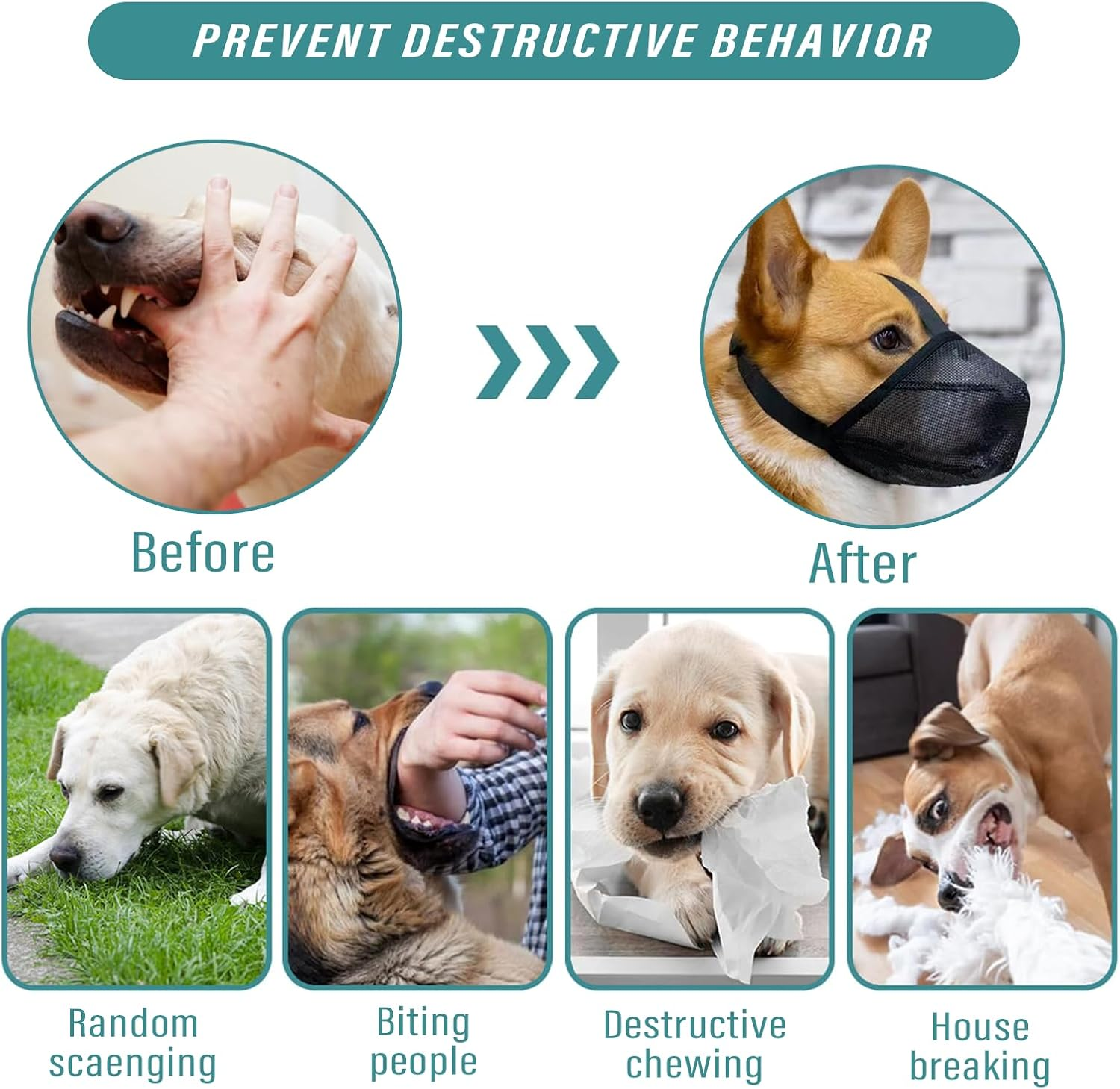 Viiotu Breathable Mesh Dog Muzzle, Adjustable anti Barking Device, Dog Mouth Cover Fits Small Medium Large Dogs, Secure Fit for Safe Breathing and Drinking image number 1