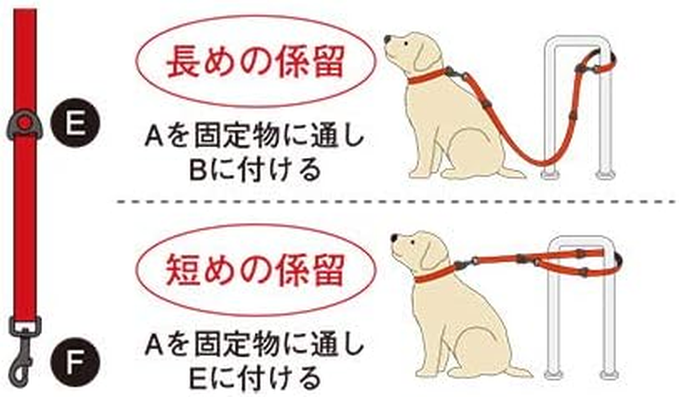 EZYDOG Vario 6 Light Black, for Ultra-Small and Medium Dogs, 78.7 Inches (200 Cm) - Bubblegum image number 7