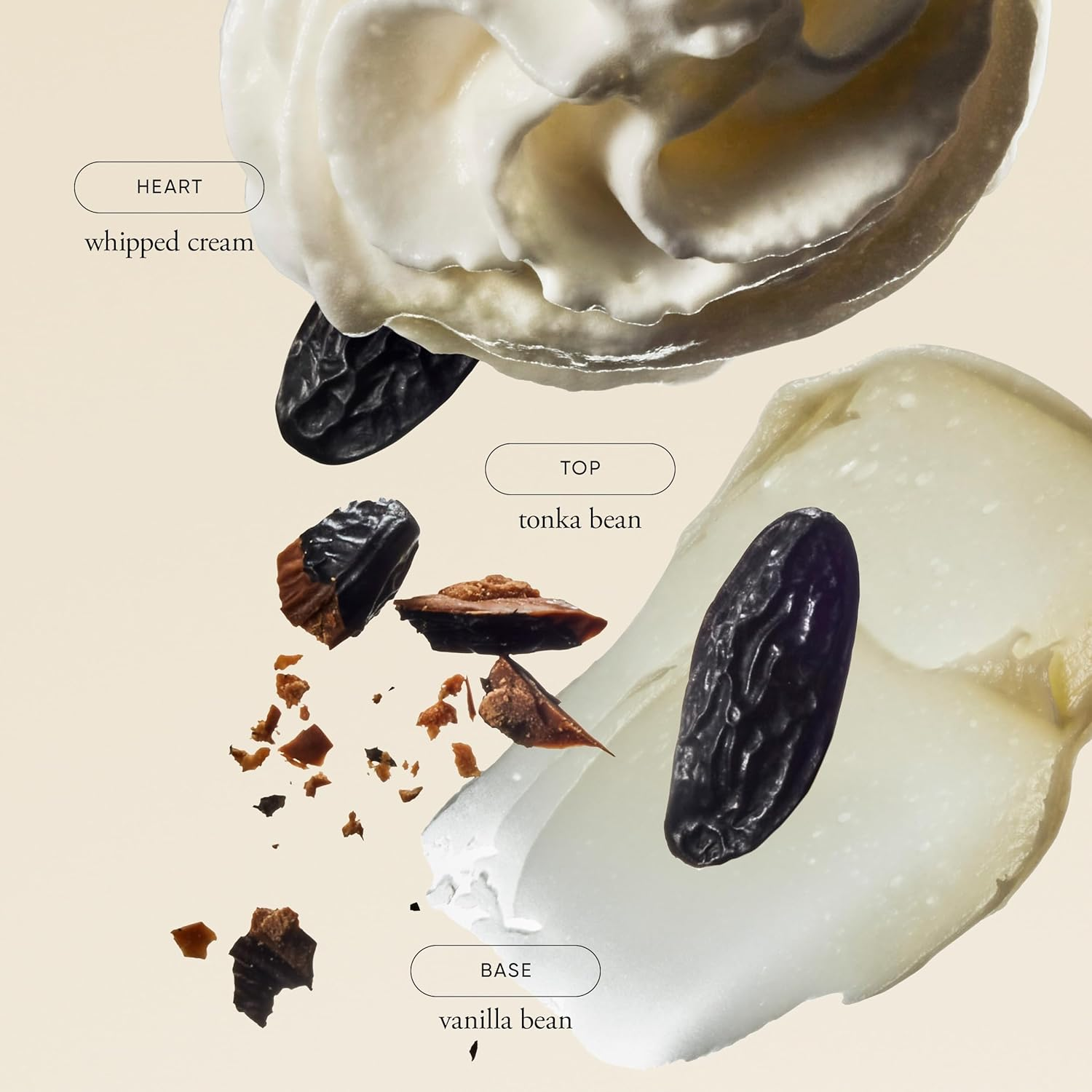 Philosophy Fresh Cream Body Lotion for Women, White, Shea Butter, 210 Ml image number 2