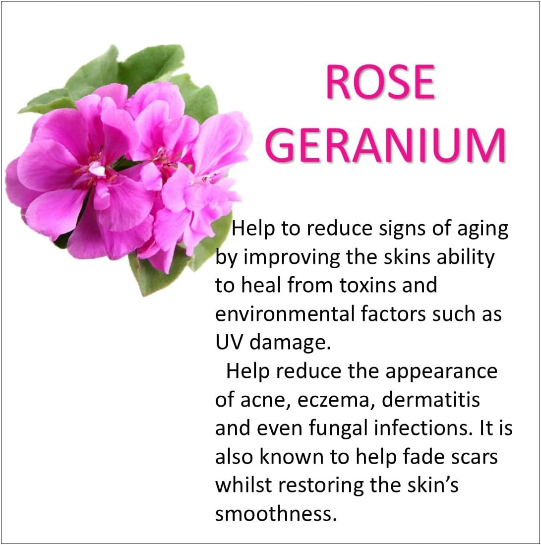 Lemon Myrtle Organic Lip Gloss 8Ml image number 5