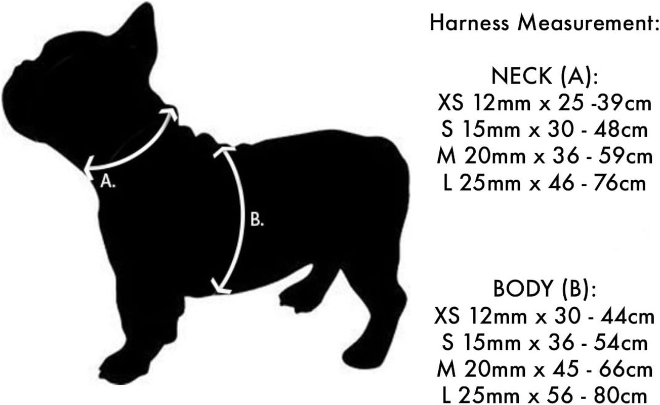 Red Dingo Adjustable Dog Harness, Classic Lime Green, 20Mm MEDIUM image number 3