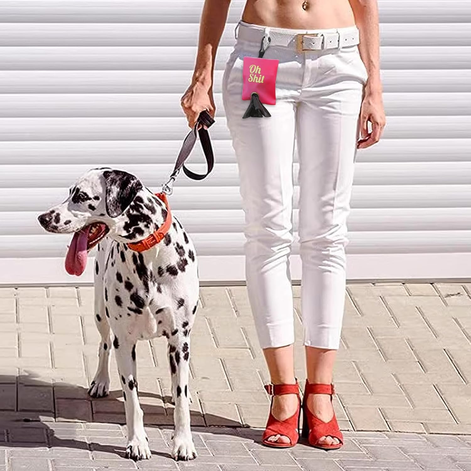 RTRTGS Pack of 2 Dog Waste Bag Dispenser, Portable Dog Waste Bag Holder for Leash, Dog Poo Bags Container with Metal Clip for Walking, Running or Outdoor Accessories (Pink, Rose Red) image number 3