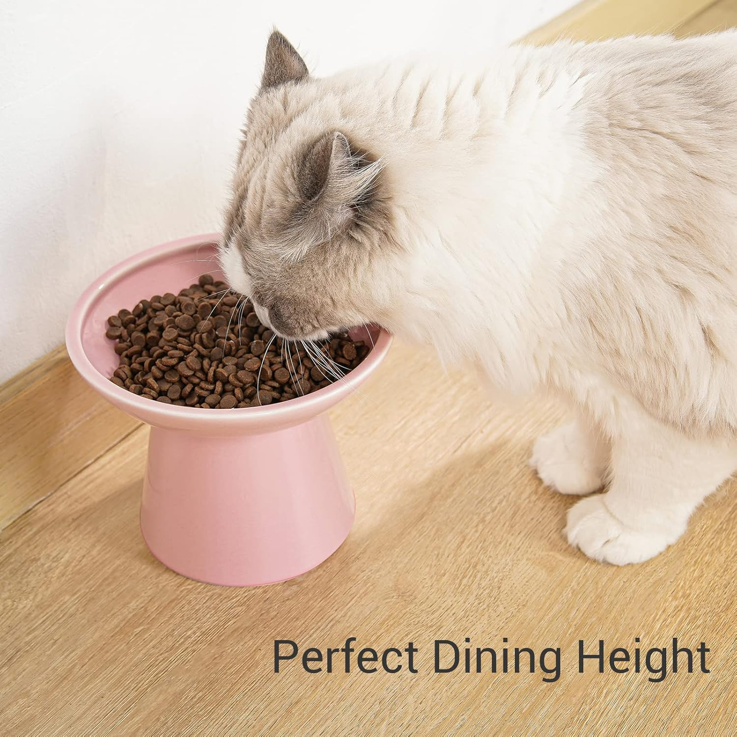 Extra Wide Elevated Cat Bowls - Ceramic Food Bowl 6.2" Raised, Shallow Dish for Whisker Fatigue, Lead & Cadmium Free, 5" Good Height for Feeding - Pink image number 5
