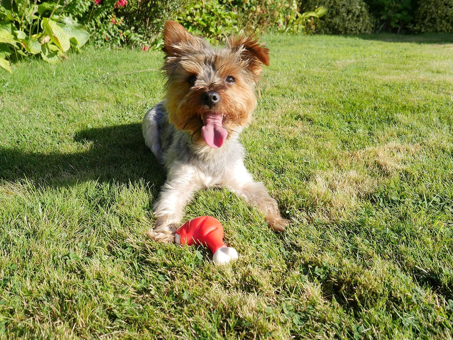 Rosewood Tough Toys Meaty Chicken Takeaway Leg Dog Toy, Small image number 1