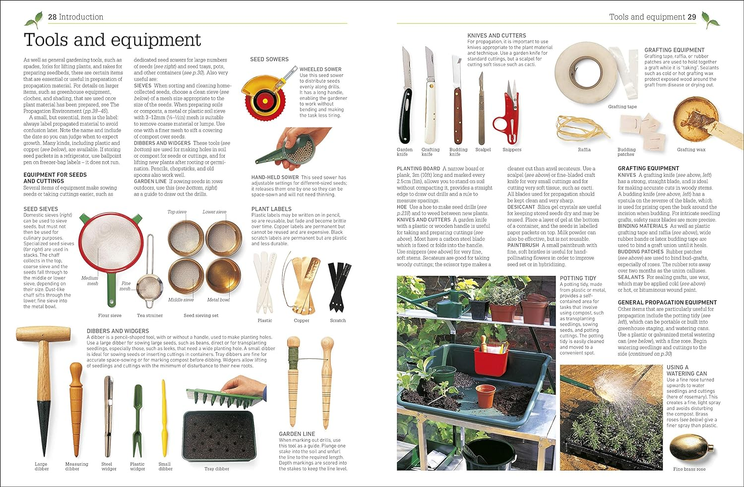 RHS Propagating Plants: How to Create New Plants for Free image number 4