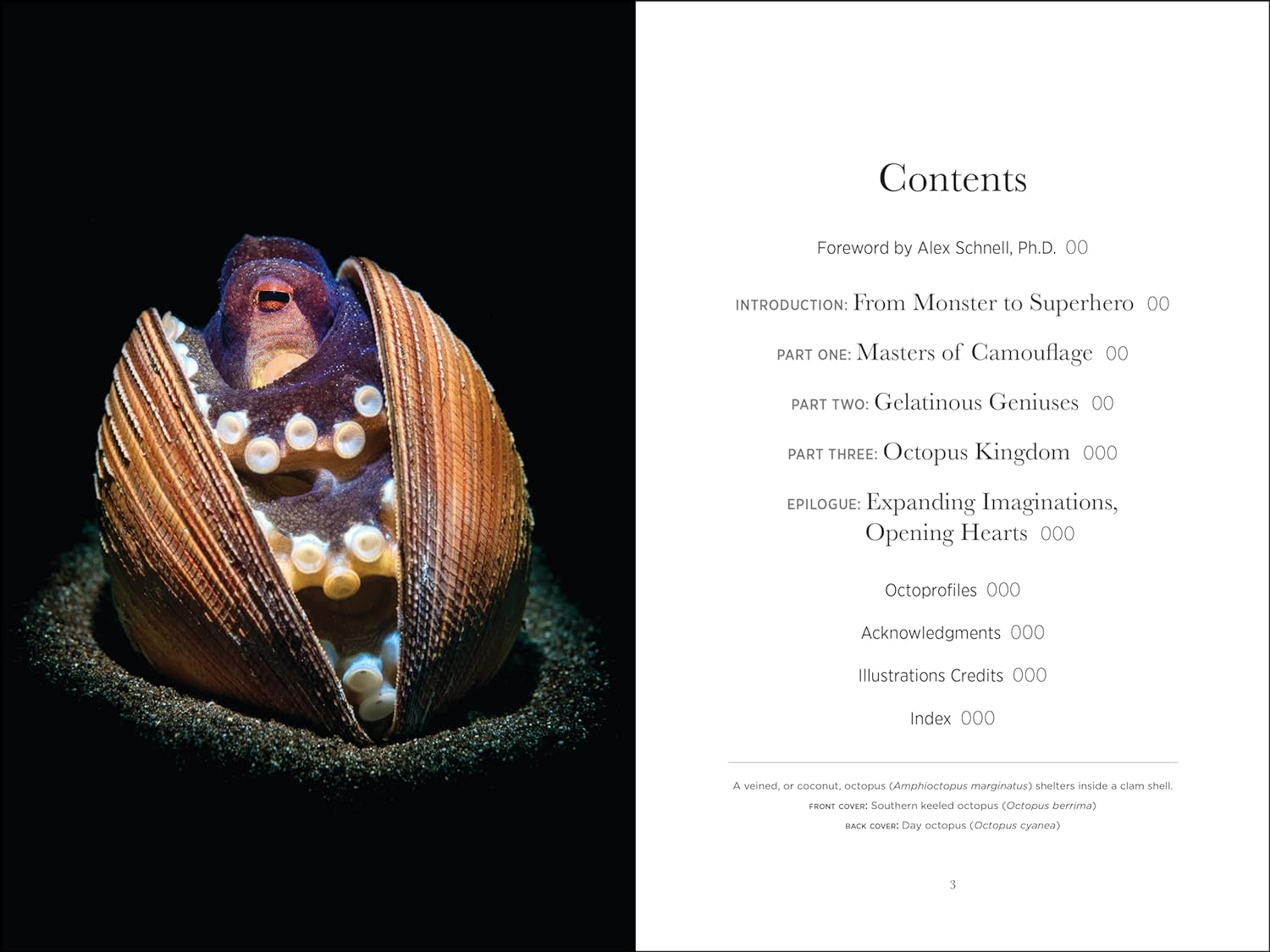 Secrets of the Octopus