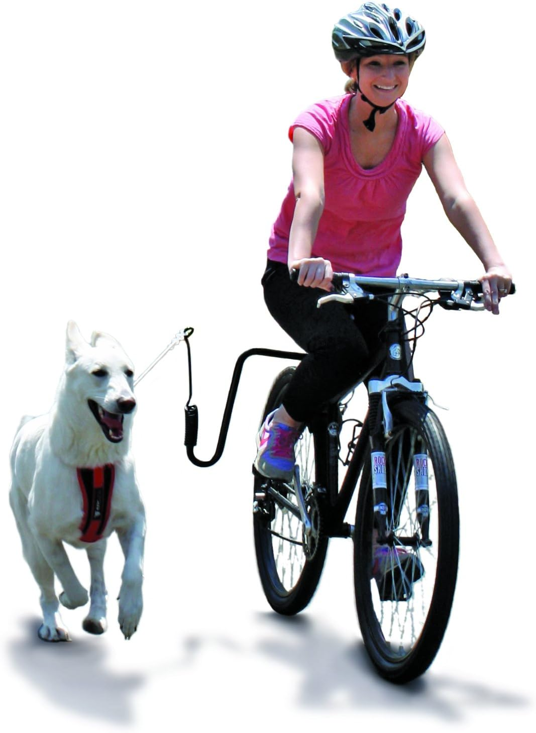 Springer Dog Exerciser, Biking with Your Dog image number 1