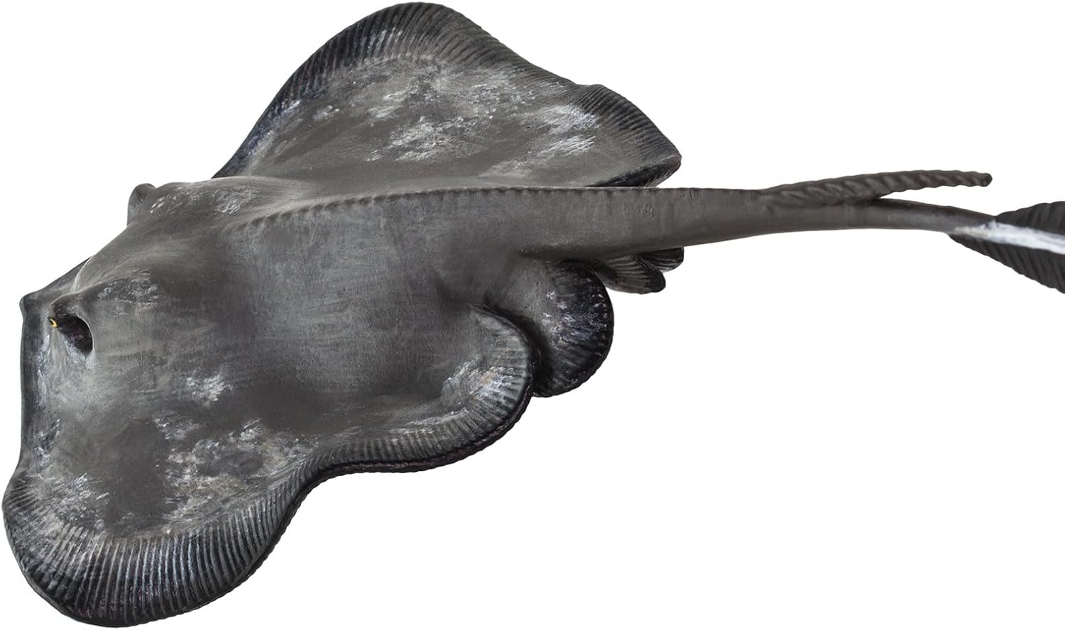 Safari Ltd Sting Ray image number 1
