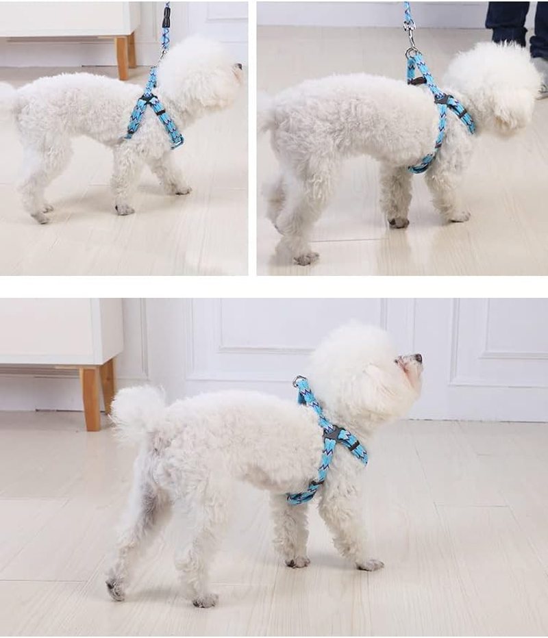 YES4PETS 2 X Medium Pet Dog Cat Puppy Kitten Rabbit Dog Harness Collar Leash Lead 5 Color