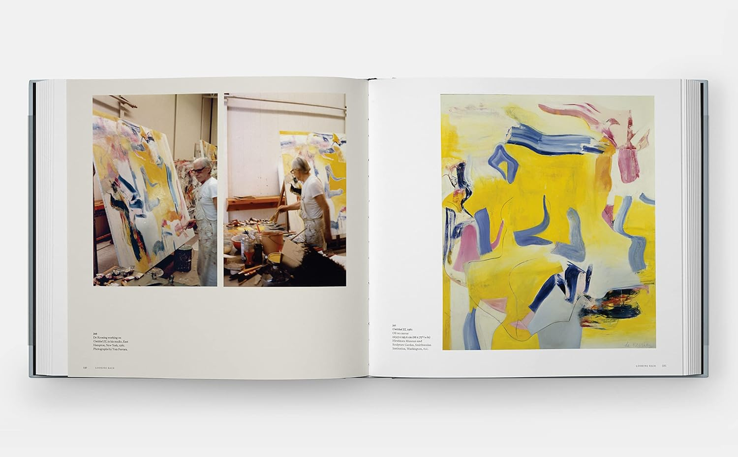 A Way of Living: the Art of Willem De Kooning image number 2