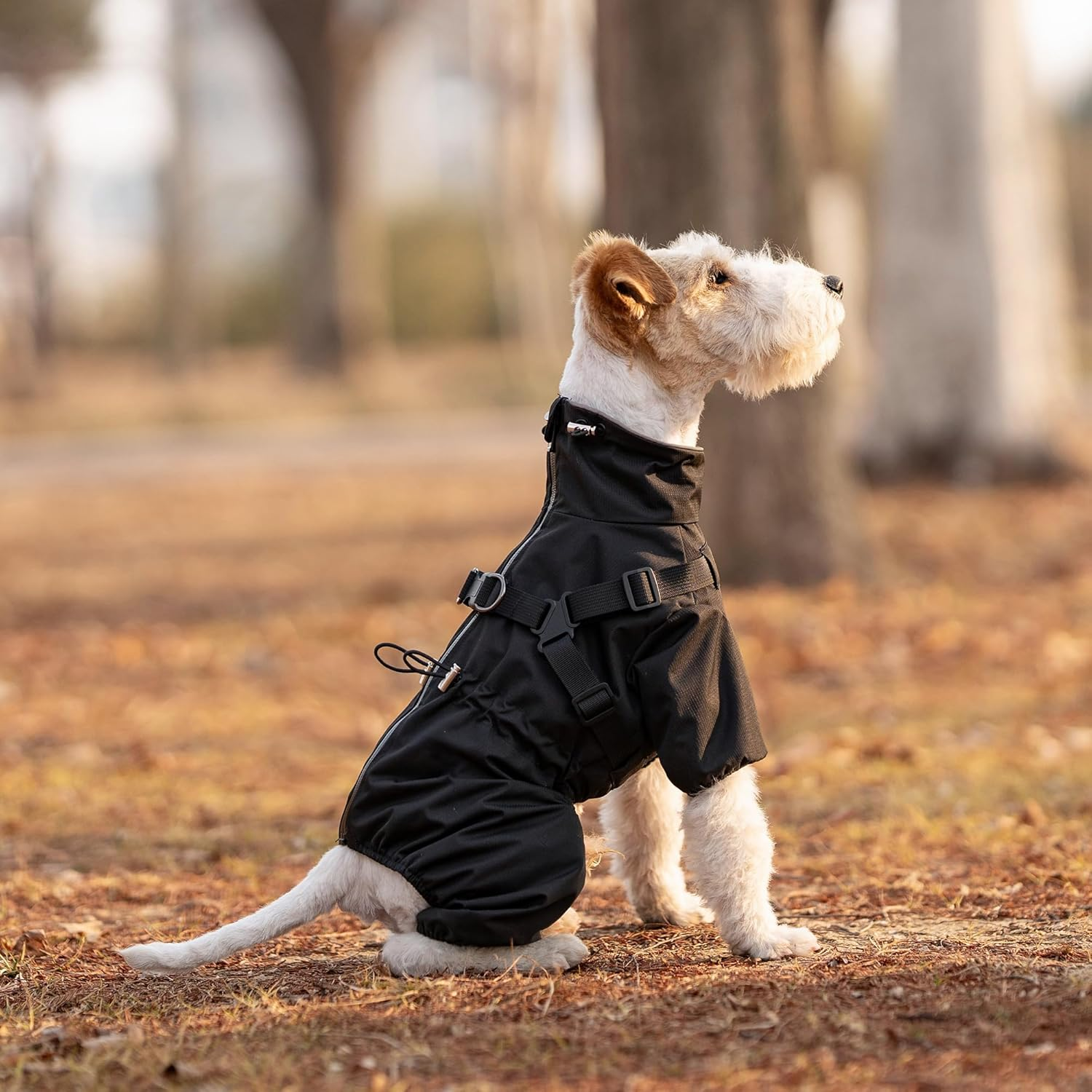 Mile High Life Waterproof Dog Raincoat, Full Coverage Small Dog Rain Coat with Harness, Adjustable 4 Legs Puppy Rain Jacket with Reflective Strip and Elastic Cuffs (Black, X-Small) image number 1