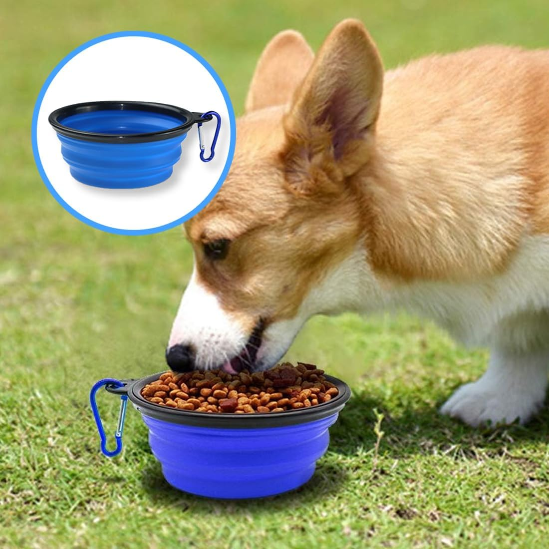 SGERUFZ Dog & Cat Travel Bowl Single Piece TPE and ABS with Silver Carabiner for Water & Food Ideal for Travel (Black Rim, Blue Body) image number 5