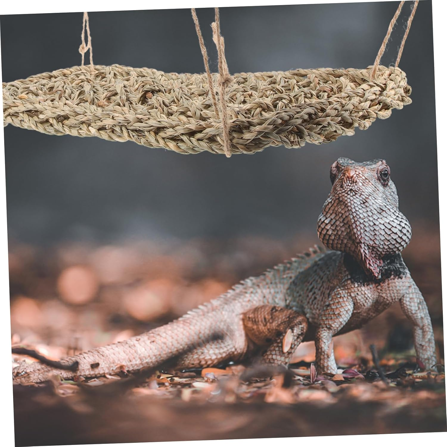 Sosoport Reptile Hammock Lizard Lounger Hanging Bed with Suction Cups 28.5X20Cm Seagrass Mesh Small Pet Grass Mat for Terrariums and Small Animals image number 4
