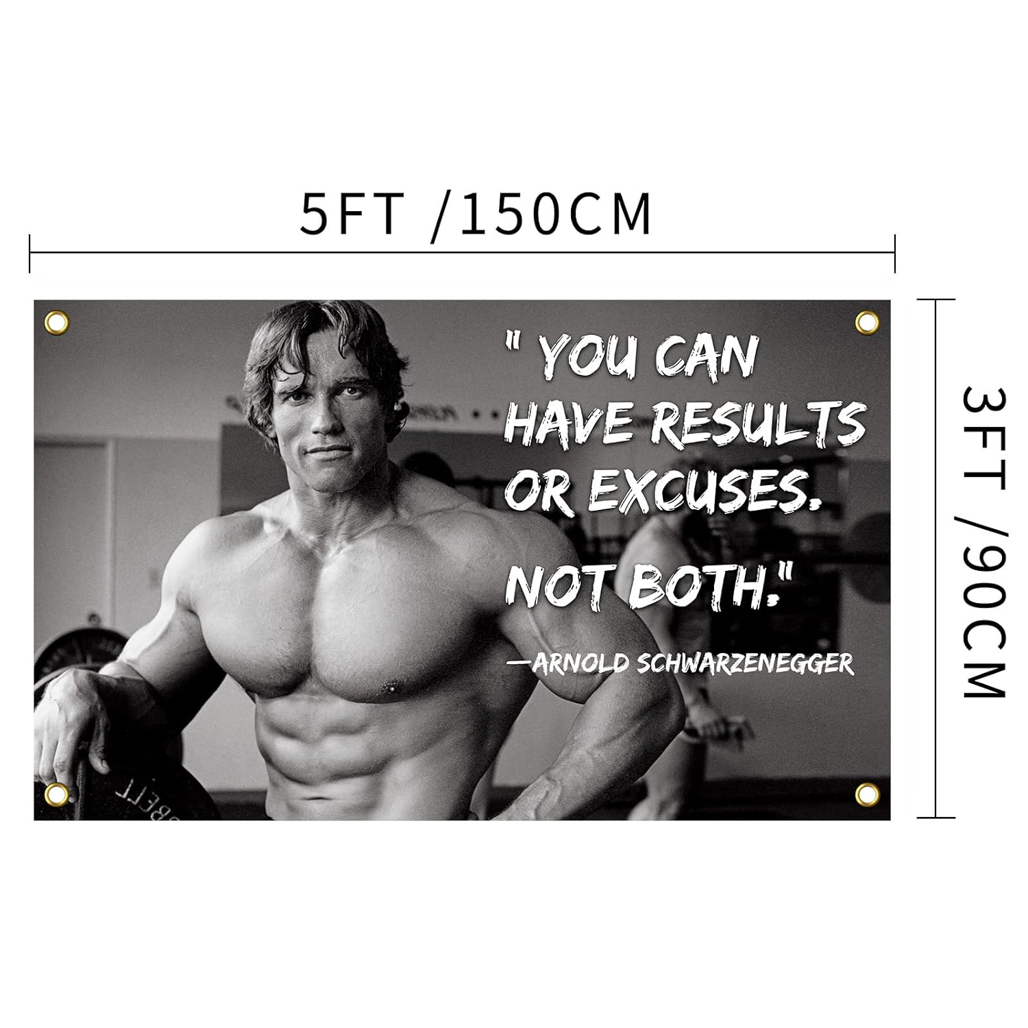 Arnold Schwarzenegger You Can Have Results or Excuses. Not Both. 3X5 Feet Flag Inspirational Poster Durable Man Cave Wall Flag with Brass Grommets This Beautiful Entertaining Banner Flag for College - Blue image number 5