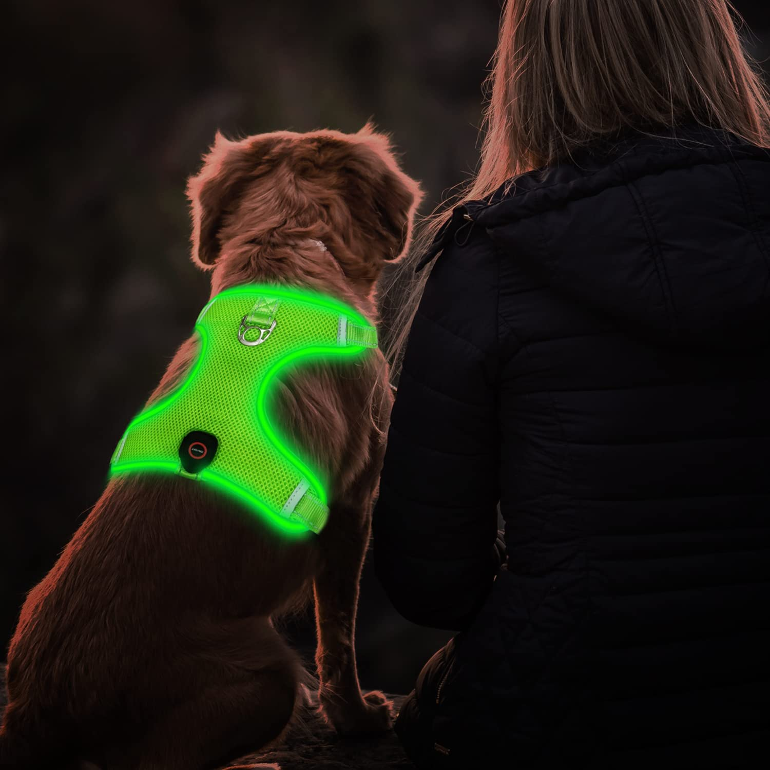 Tripolaco Light up Dog Harness, High Visibility Led Dog Harness for Night Safety, USB Rechargeable Glowing Dog Harness for Night Walking, Flashing Dog Harness for Small Medium Large Dogs (Green, L)