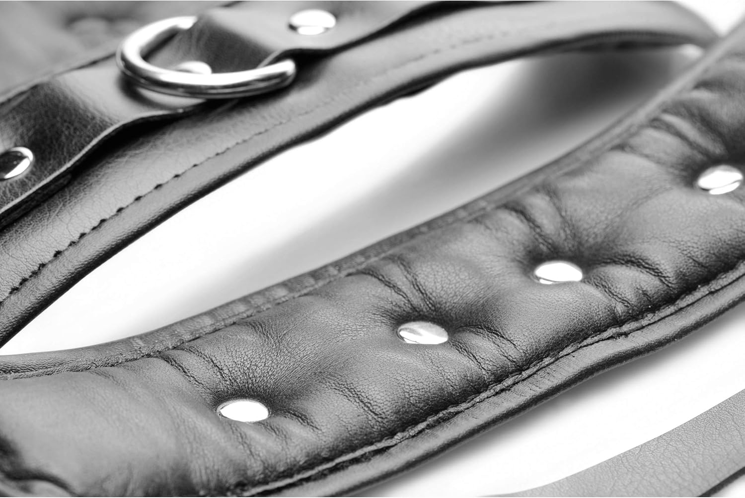 Master Series Ankle Strap Linked Bondage Cuffs