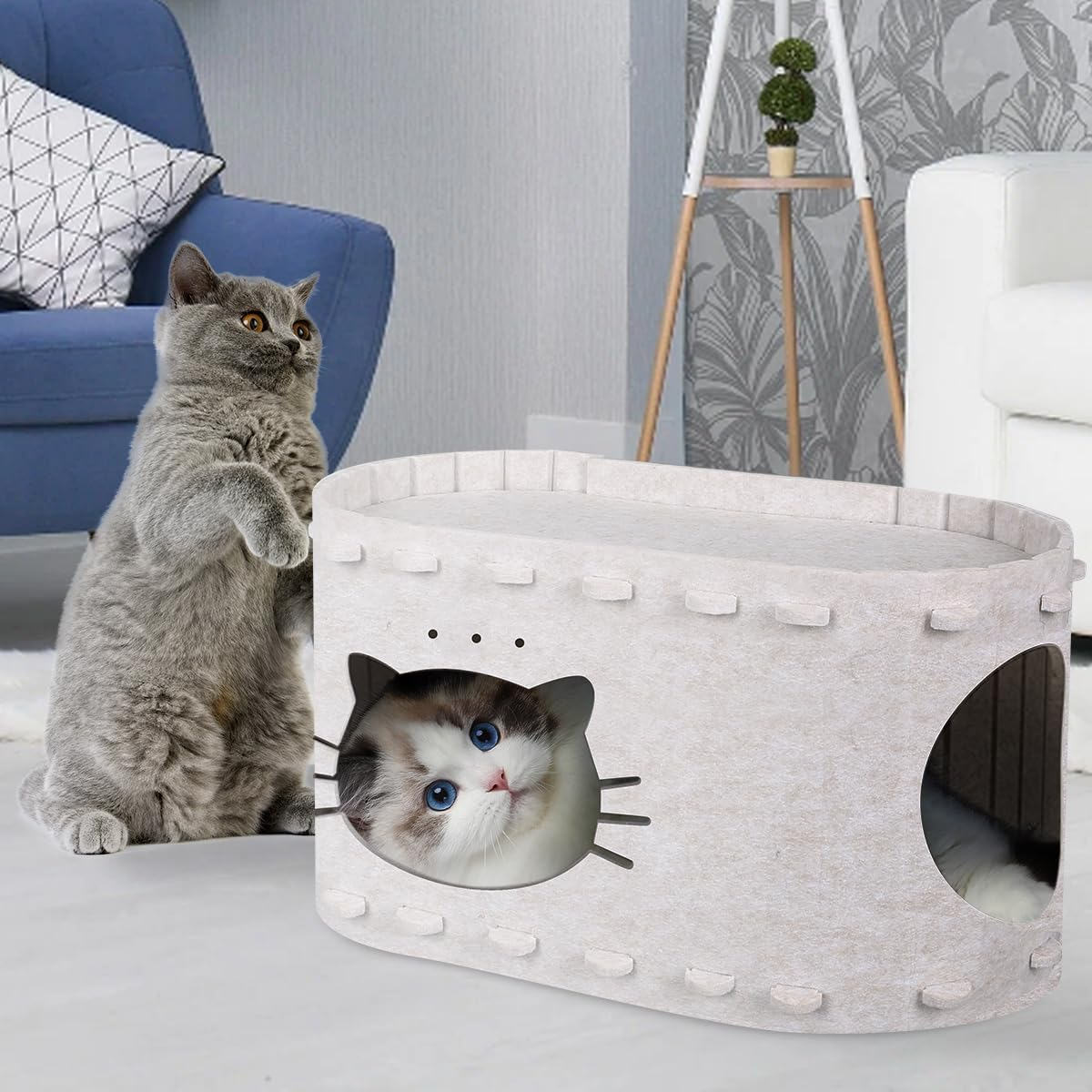 Foldable Cat House, Cat Bed for Indoor Cats, Soft Cat Cave Bed with Cat Scratching Board, Covered Cat Hideaway with Cat Pattern, Stable Cat Cave for Cat and Little Dog image number 1
