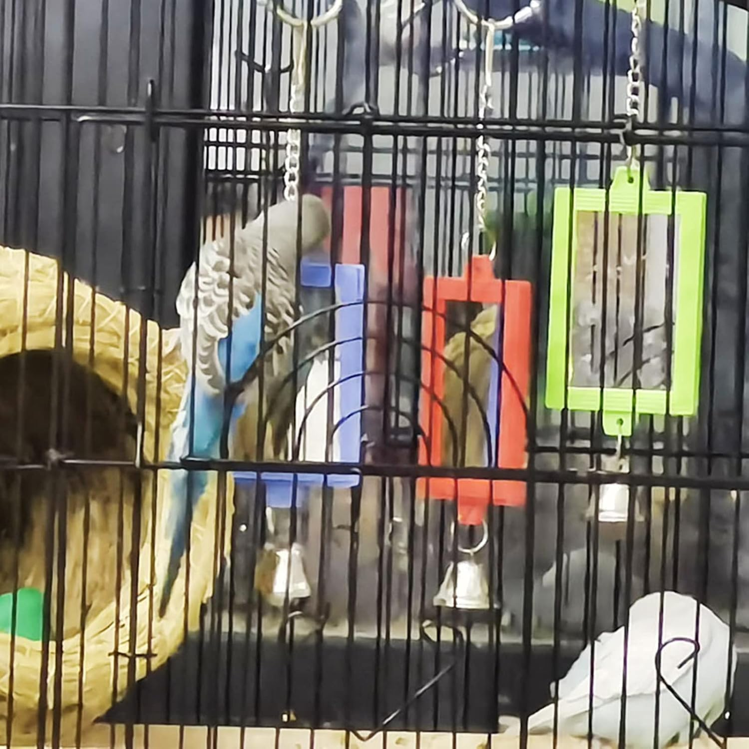 1Pc Random Color Pet Bird Mirror with Bell Interactive Parrot Toys for Budgies Parakeets Conures, Pet Supplies image number 4