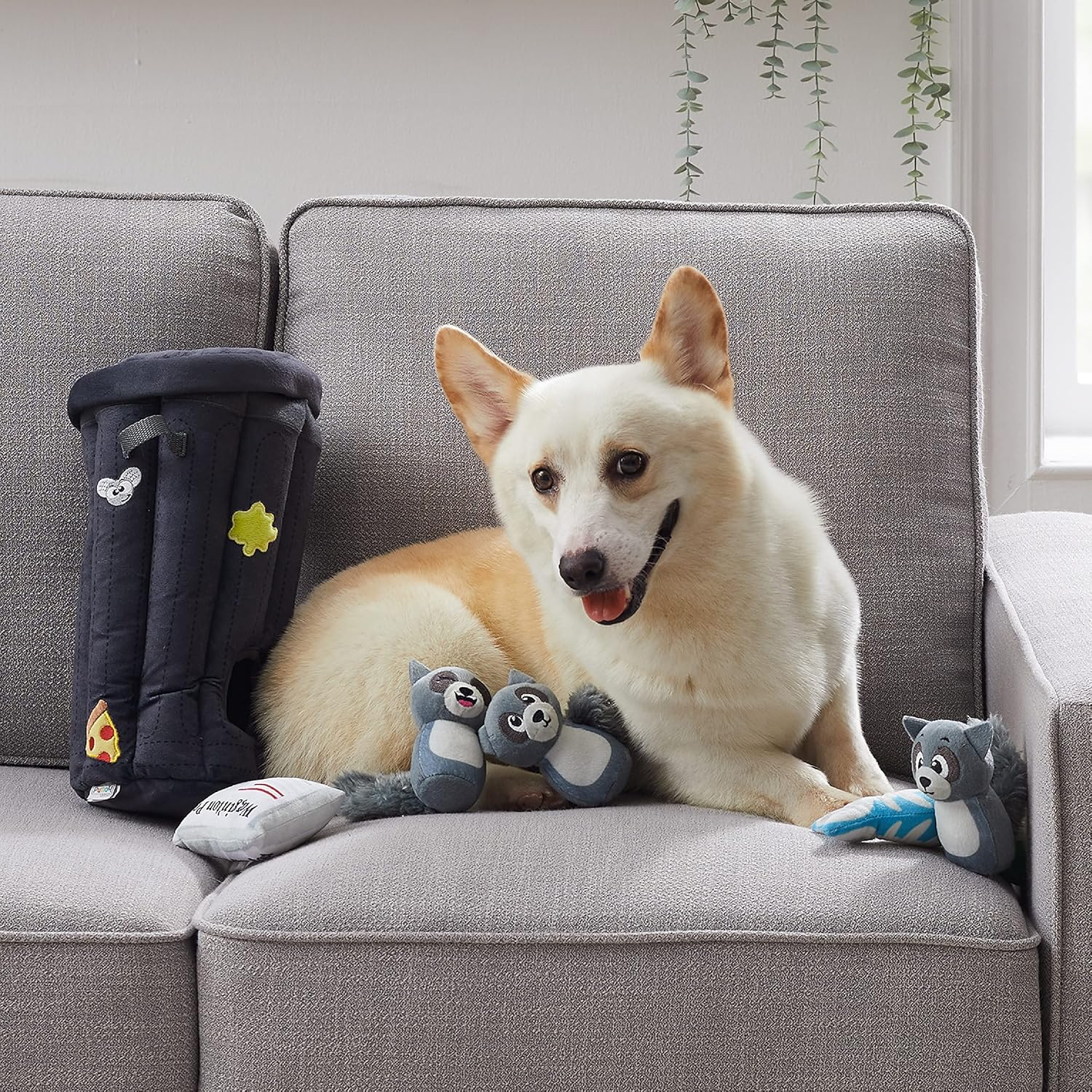 Outward Hound Hide a Raccoon Plush Dog Toy Puzzle image number 6