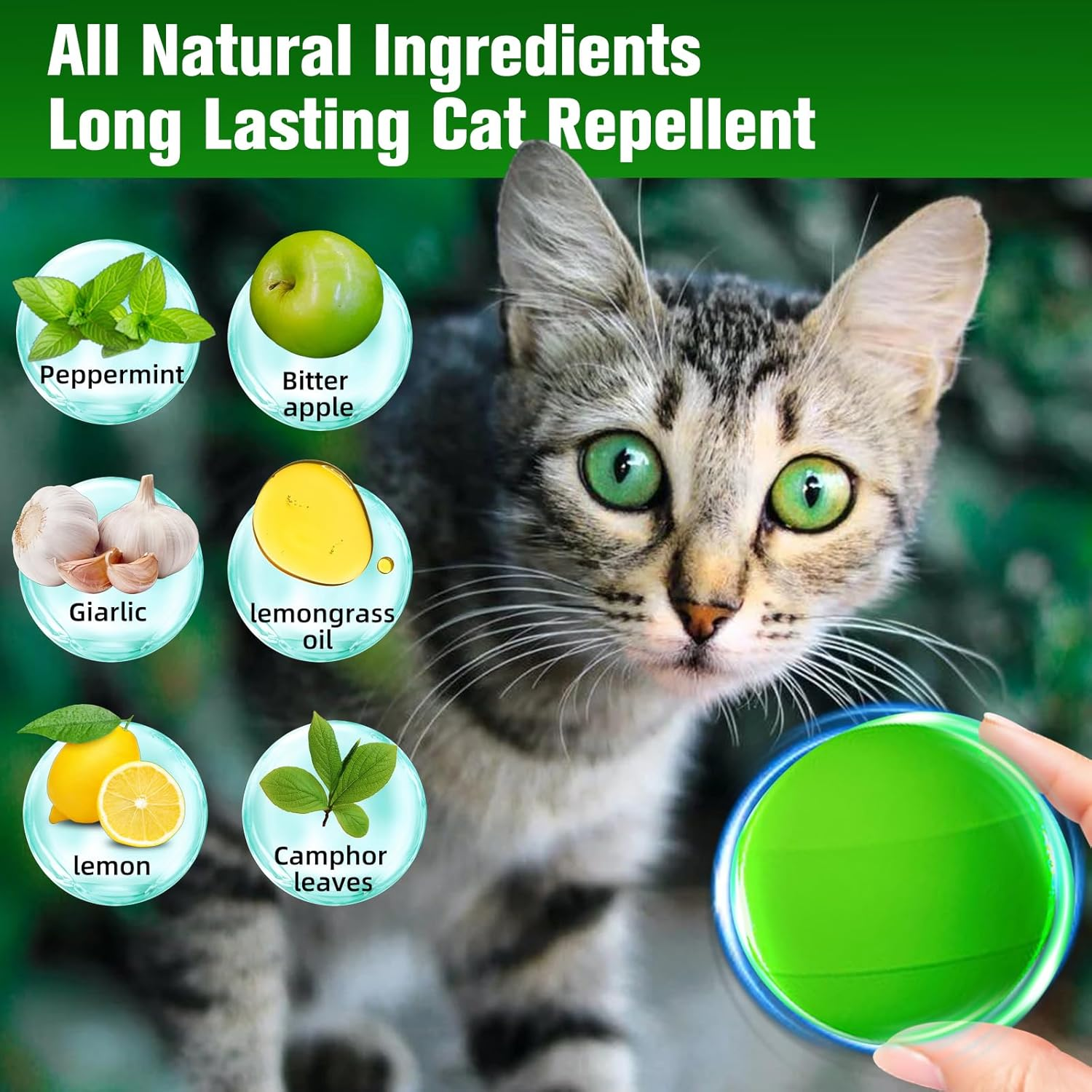 Natural Peppermint Oil Cat Repellent for Outdoor & Indoor Use, Keep Cats & Dogs Away from Yard, Garden & Furniture, 6-Month Protection, 9 Pack
