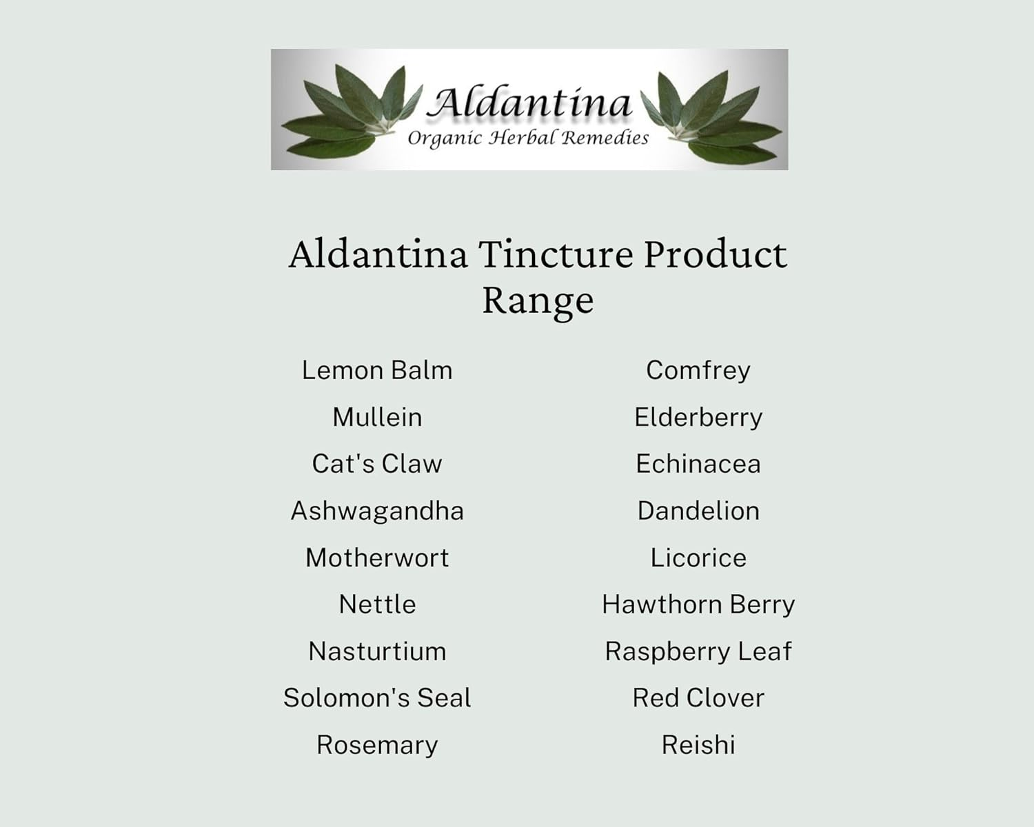 Organic Hawthorn Berry (Crataegus Monogyna) Tincture/Extract, Australian Made, Alcohol-Free - (50Ml) image number 5