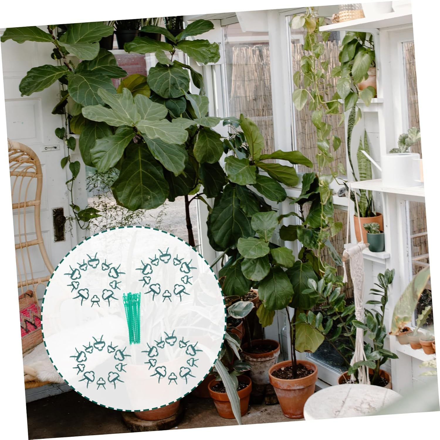 Kisangel Tie Ties Clip for Greenhouse Plants Fixing Gardening Tools Clips for Potted Branches image number 6