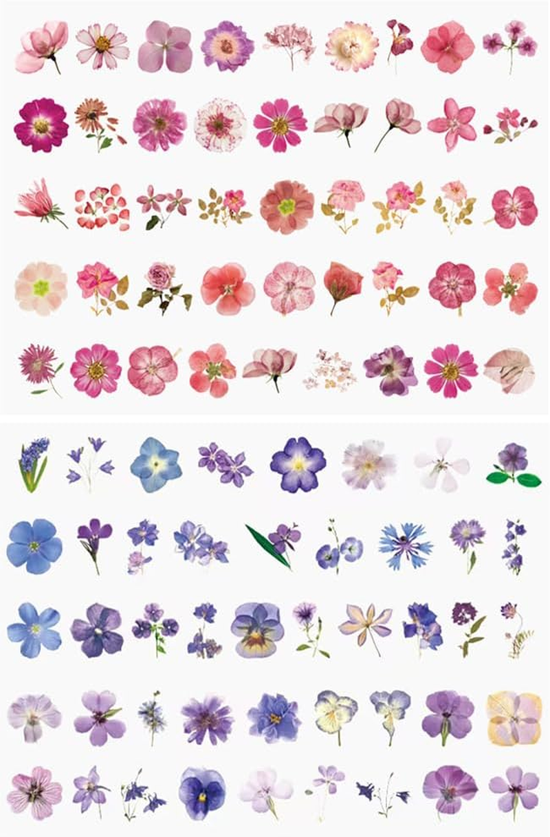FRAINBOWZ 90Pcs Flower Sticker Scrapbook, Natural Transparent Flower Sticker Scrapbook for Craft Card Notebook Diary DIY Craft image number 4