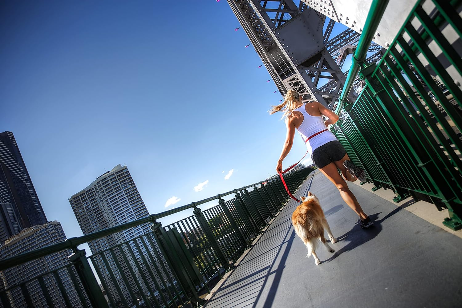 EZYDOG Road Runner Dog Leash Gray image number 1