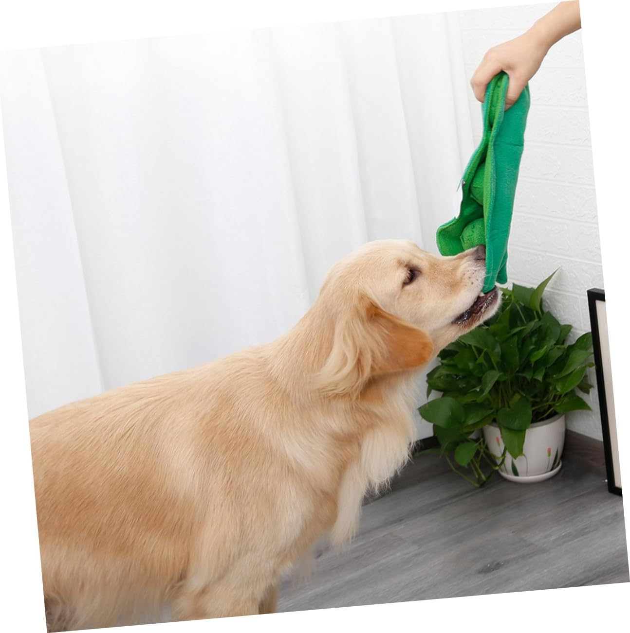 Toddmomy Snuffle Toys for Dogs: Pea Sniffing Pet Puppy Puppies Dog Chewers Squeaky Chewing Pea Shape Polar Fleece Green image number 1
